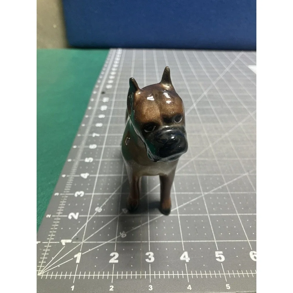 Boxer 